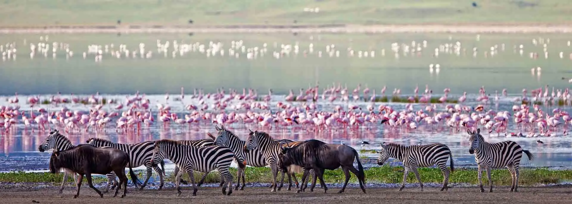 Arusha National Park