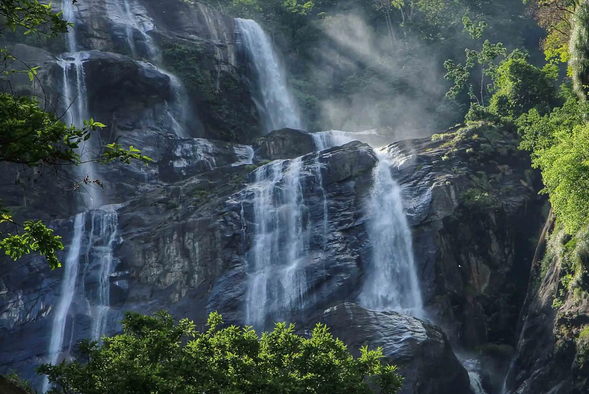 Gombe National Park