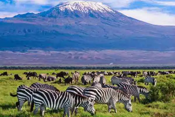 Kilimanjaro National Park