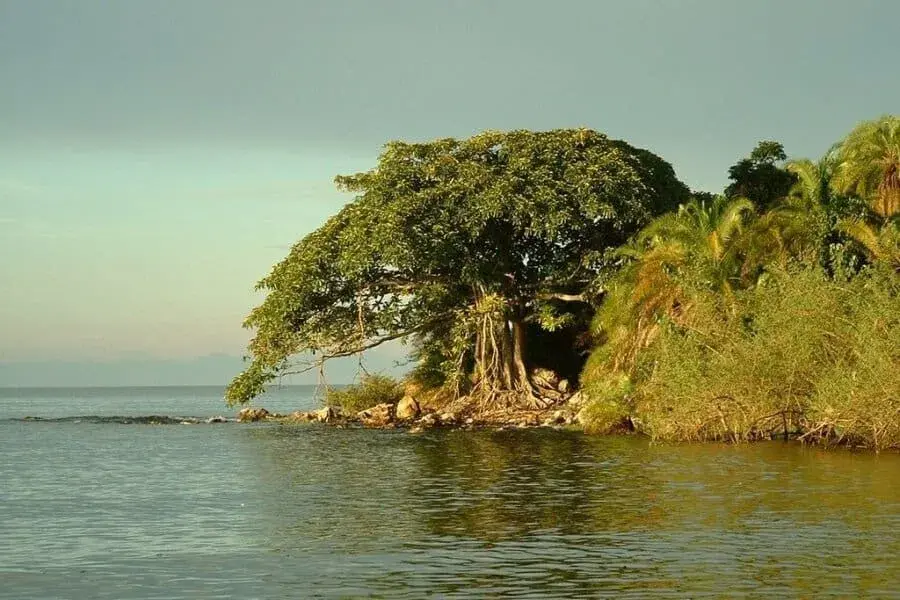 Rubondo National Park