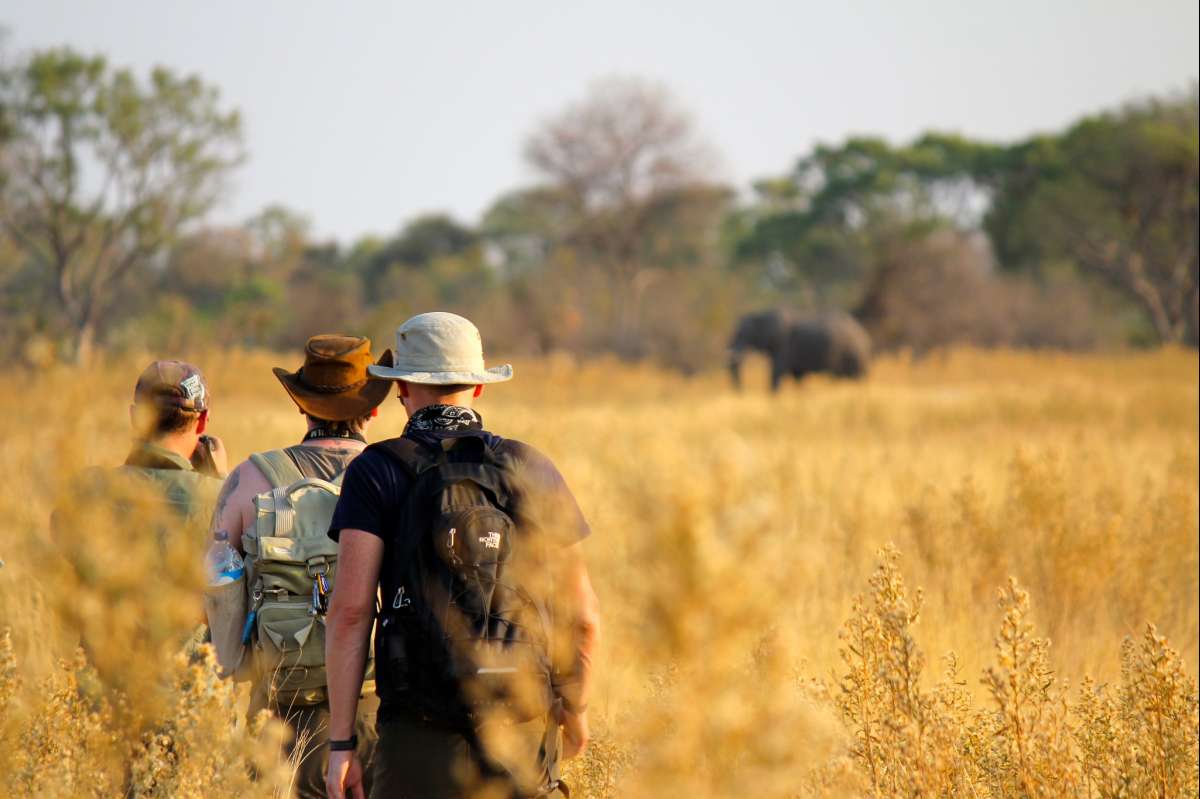 Man in safari attire