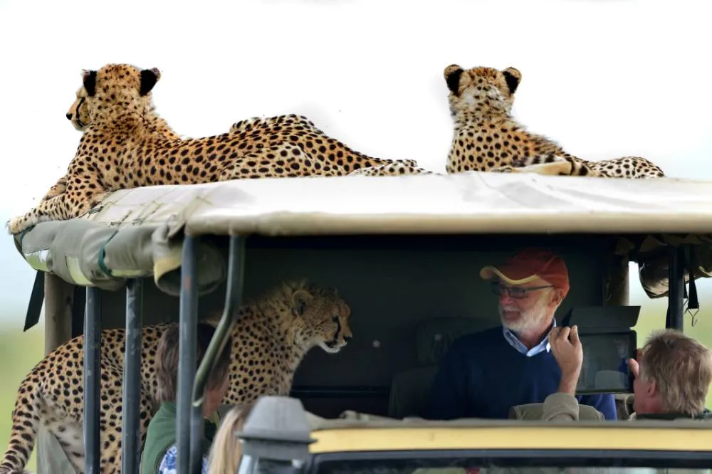 Where to see leopards